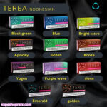 TEREA煙彈 哈薩克版TEREA加熱煙 IQOS ILUMA系列主機專用 IQOS菸彈 台灣現貨 711到付：圖片 2