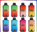 Bang DUALMESH 20000 Puffs全新一次性拋棄式