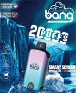 Bang DUALMESH 20000 Puffs全新一次性拋棄式