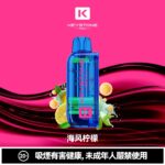 KEYSTONE  FLEX-3 鑰石 25000口 專彈專機套裝｜大容量續航・台灣現貨：圖片 8